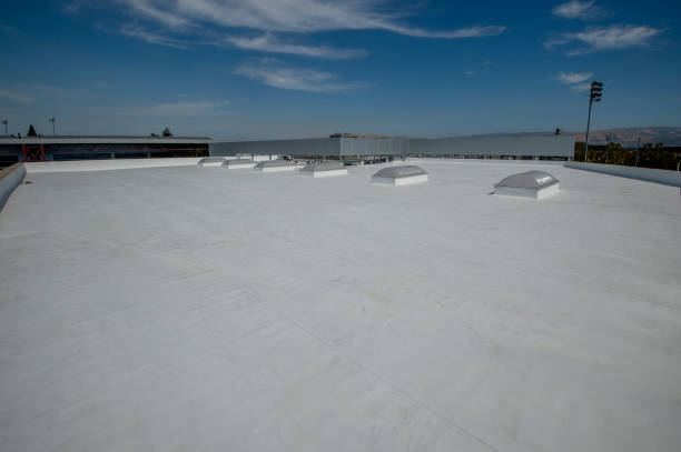 Best Metal Roofing Installation  in West Peoria, IL